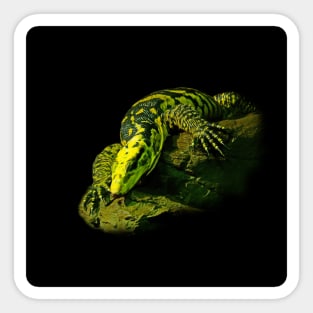 Varanus Sticker